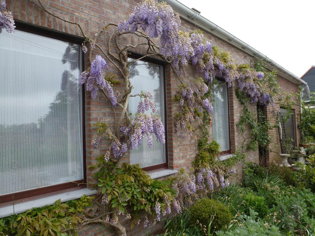 Guesthouse Kolibriehuys Nieuwkerke Esterno foto