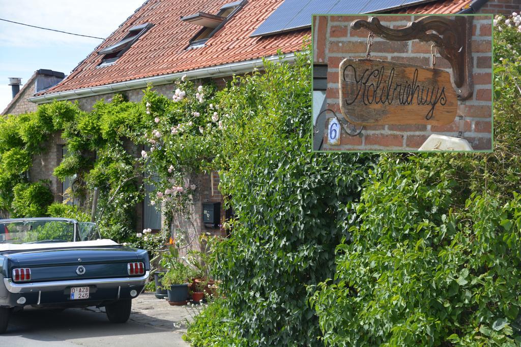 Guesthouse Kolibriehuys Nieuwkerke Esterno foto