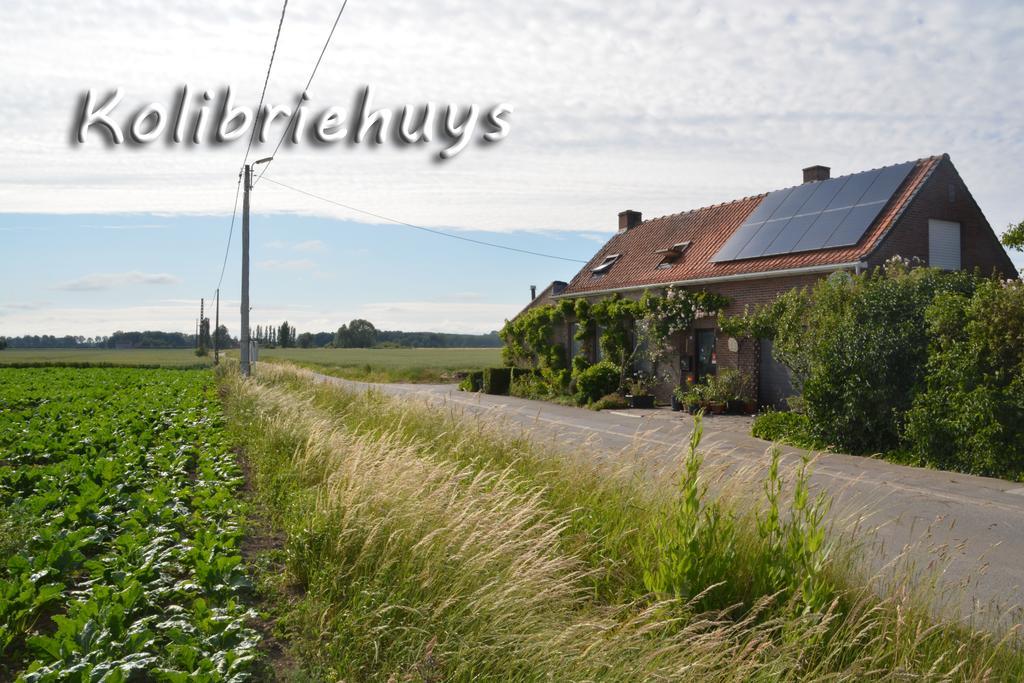 Guesthouse Kolibriehuys Nieuwkerke Esterno foto